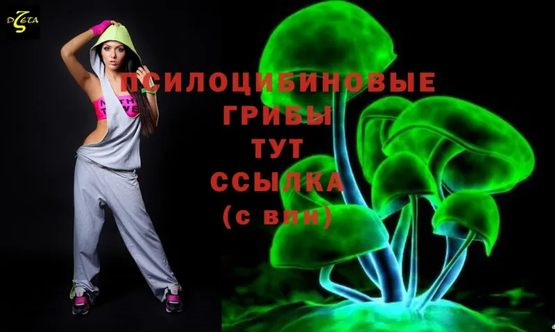 Галлюциногенные грибы Cubensis  Бежецк 